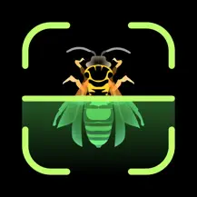 With Insect Identifier, you can quickly identify any insect using your phone.