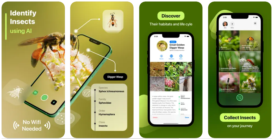 With the Picture Insect App, identifying insects has become much easier. Stock Illustration of Pests - Insects App to identify insects - identify insects Insect Identifier: What bugs and pests are insect identifier?